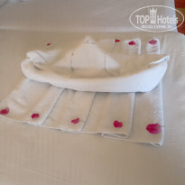 фото из отзыва ID 2741442