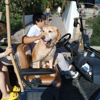 фото из отзыва ID 2741446