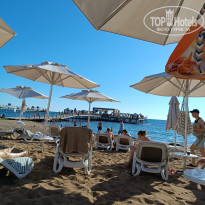 фото из отзыва ID 2741446