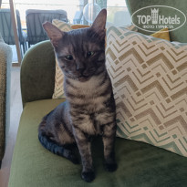 фото из отзыва ID 2741446