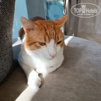 фото из отзыва ID 2741446