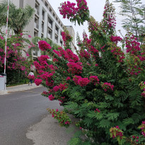 фото из отзыва ID 2741446