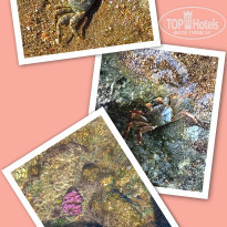 фото из отзыва ID 2741451