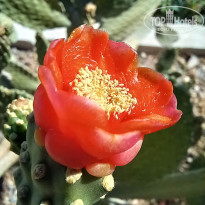 фото из отзыва ID 2741451