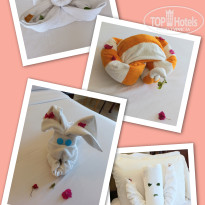 фото из отзыва ID 2741451