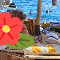 фото из отзыва ID 2741451