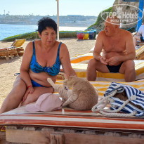 фото из отзыва ID 2741451