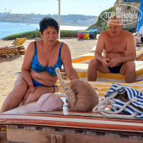 фото из отзыва ID 2741451