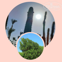 фото из отзыва ID 2741451