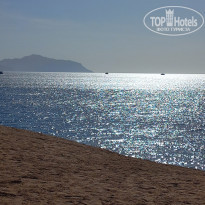 фото из отзыва ID 2741451