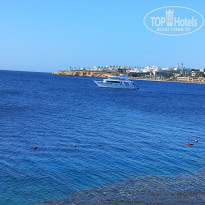 фото из отзыва ID 2741451