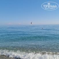 фото из отзыва ID 2741457