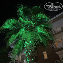 фото из отзыва ID 2741467