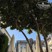 фото из отзыва ID 2741467