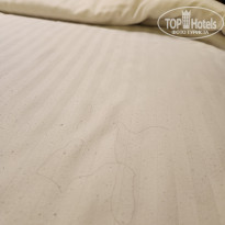 фото из отзыва ID 2741472