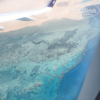 фото из отзыва ID 2741469