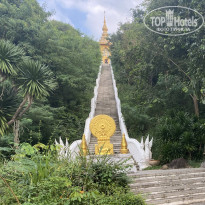 фото из отзыва ID 2741478