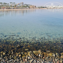 фото из отзыва ID 2741481