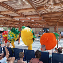 фото из отзыва ID 2741481