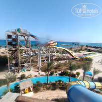 фото из отзыва ID 2741481