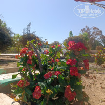 фото из отзыва ID 2741481