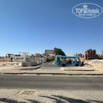 фото из отзыва ID 2741484