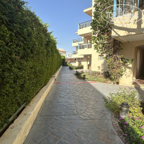 фото из отзыва ID 2741484