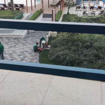 фото из отзыва ID 2741486