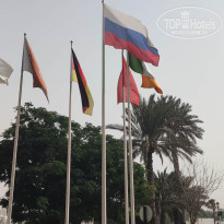 фото из отзыва ID 2741486