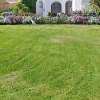 фото из отзыва ID 2741502