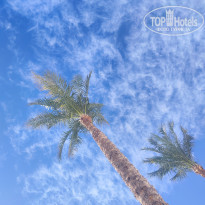 фото из отзыва ID 2741502