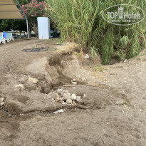 фото из отзыва ID 2741516