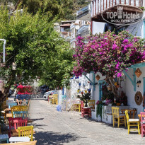 фото из отзыва ID 2741538