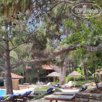 фото из отзыва ID 2741538