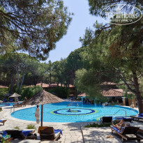 фото из отзыва ID 2741538