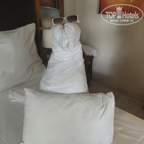 фото из отзыва ID 2741538