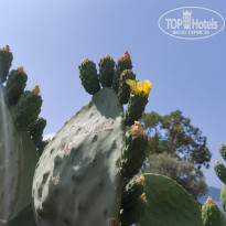 фото из отзыва ID 2741538