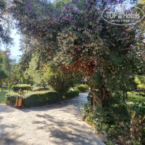 фото из отзыва ID 2741555