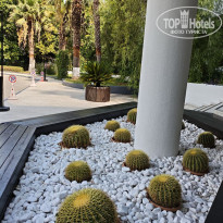 фото из отзыва ID 2741555