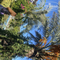 фото из отзыва ID 2741568