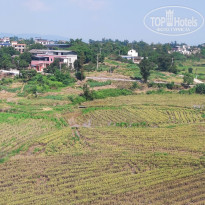 фото из отзыва ID 2741594