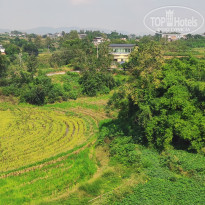 фото из отзыва ID 2741594