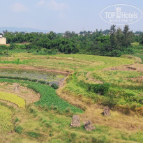 фото из отзыва ID 2741594