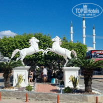 фото из отзыва ID 2741602