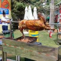 фото из отзыва ID 2741602