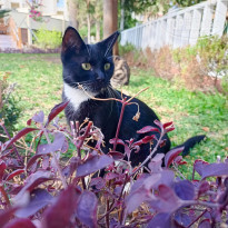 фото из отзыва ID 2741606