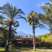 фото из отзыва ID 2741607