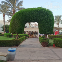 фото из отзыва ID 2741612