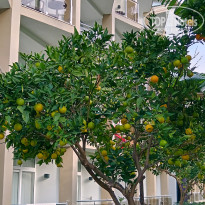 фото из отзыва ID 2741618