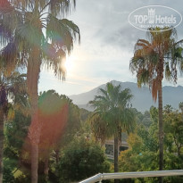 фото из отзыва ID 2741618